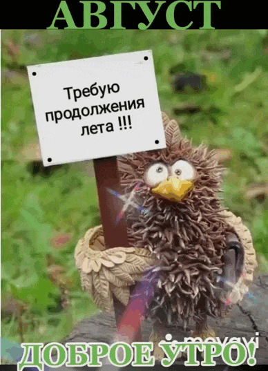 Смешные гифки "Август доброе утро! Требую продолжения лета!". Смешные гифки "Август доброе утро! Требую продолжения лета!".