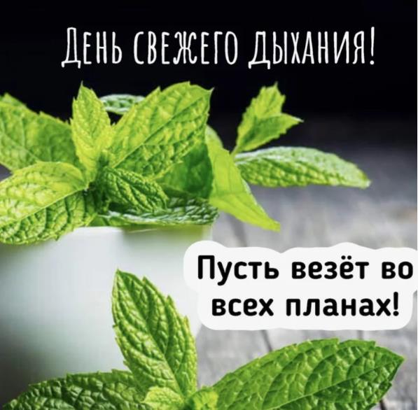 Мятная освежающая картинка "День свежего дыхания! Пусть везёт во всех планах!". Мятная освежающая картинка "День свежего дыхания! Пусть везёт во всех планах!".
