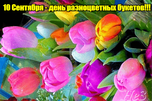 Весенняя анимация с тюльпанами на праздник разноцветных букетов для любимых дам. Весенняя анимация с тюльпанами на праздник разноцветных букетов для любимых дам.