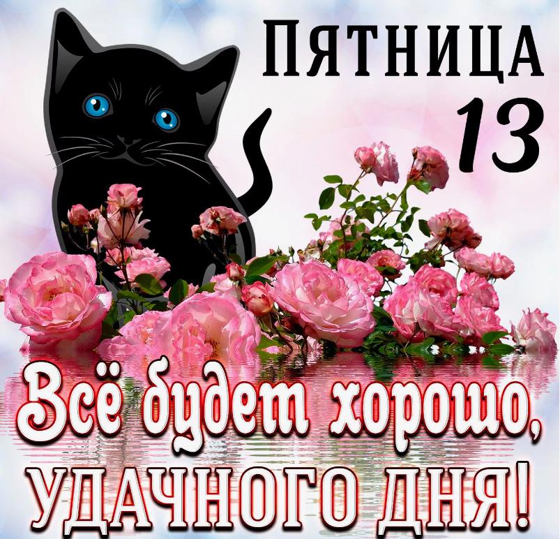 Красивая картинка с чёрной кошкой, цветами и пожеланием "Всё будет хорошо, удачного дня!" на пятницу 13-ое для женщин.