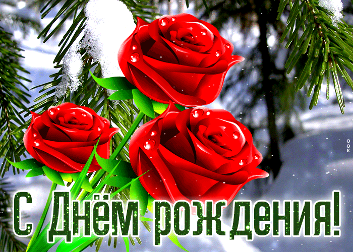 Зимняя гиф открытка с красными розочками С днём Рождения Женщине 2024. Зимняя гиф открытка с красными розочками С днём Рождения Женщине 2024.