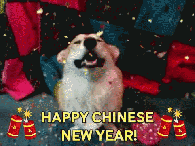 Смешной пёсик Happy chinese new Year!