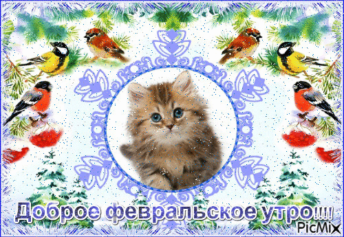 Анимация доброе февральское Утро! Анимация доброе февральское Утро!