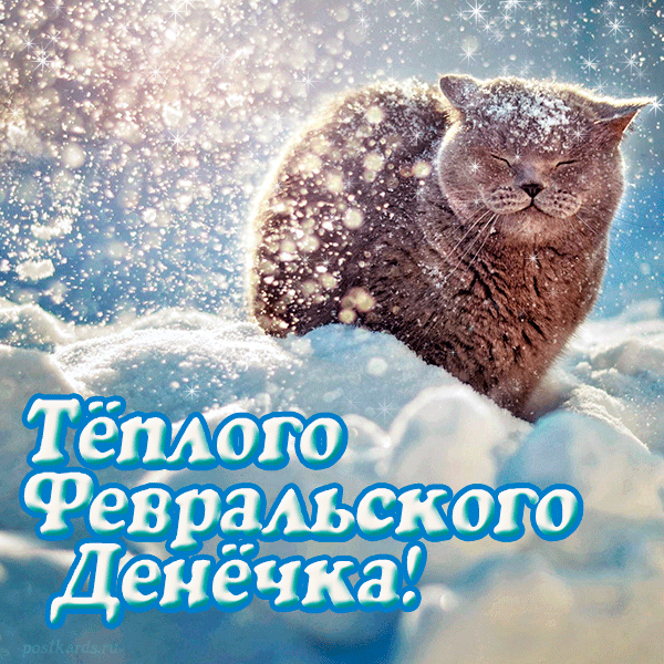 Классная анимация с котом на снегу и пожеланием тёплого Февральского Денёчка! Классная анимация с котом на снегу и пожеланием тёплого Февральского Денёчка!