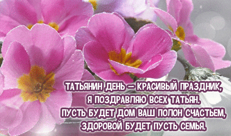 Татьянин день - красивый праздник, я поздравляю всех Татьян. Пусть будет дом ваш полон счастьем, здоровой будет пусть семья.