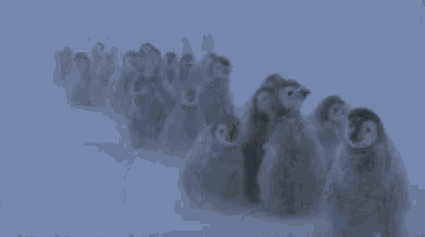 Смешная гифка это мы идёт купаться на Крещение.