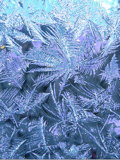 Волшебные ледяные узоры.