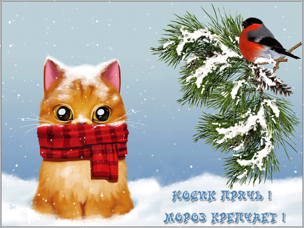 Смешная gif картинка с кошкой и птичкой и надписью "Носик прячь! Мороз крепчает!".