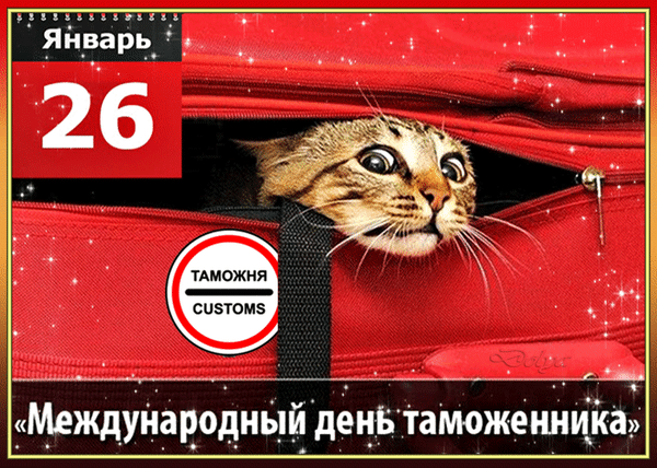 Смешная гифка с котом на международный день Таможенника 26 января.
