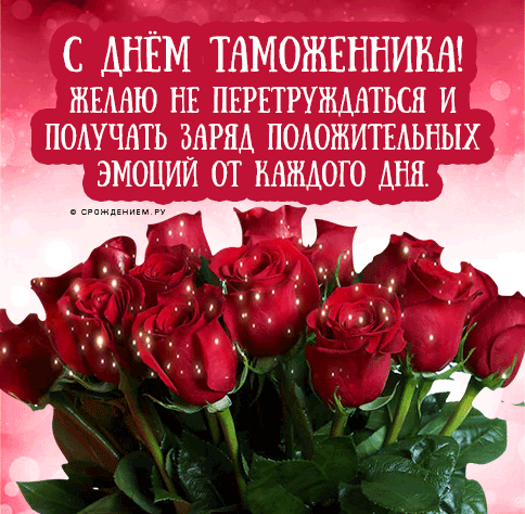 С днём Таможенника! Желаю не перетруждаться и получать заряд положительных эмоций от каждого дня.