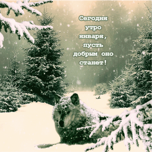 Гифка сегодня утро января, пусть будет добрым.