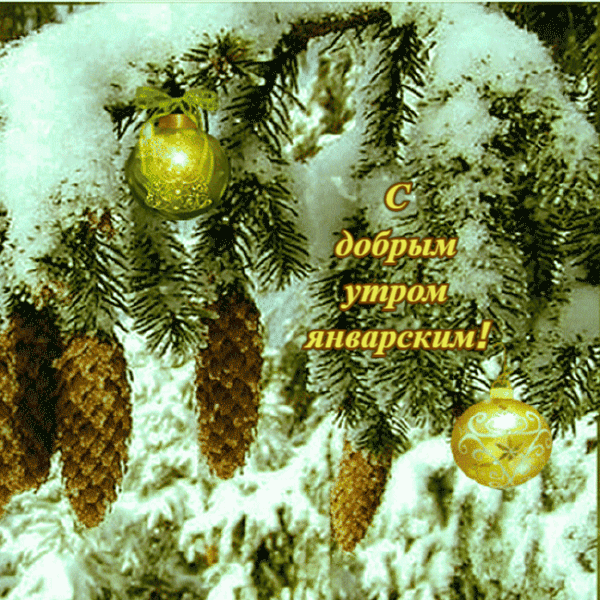 Праздничная зимняя анимация с надписью "С добрым утром Январским!".