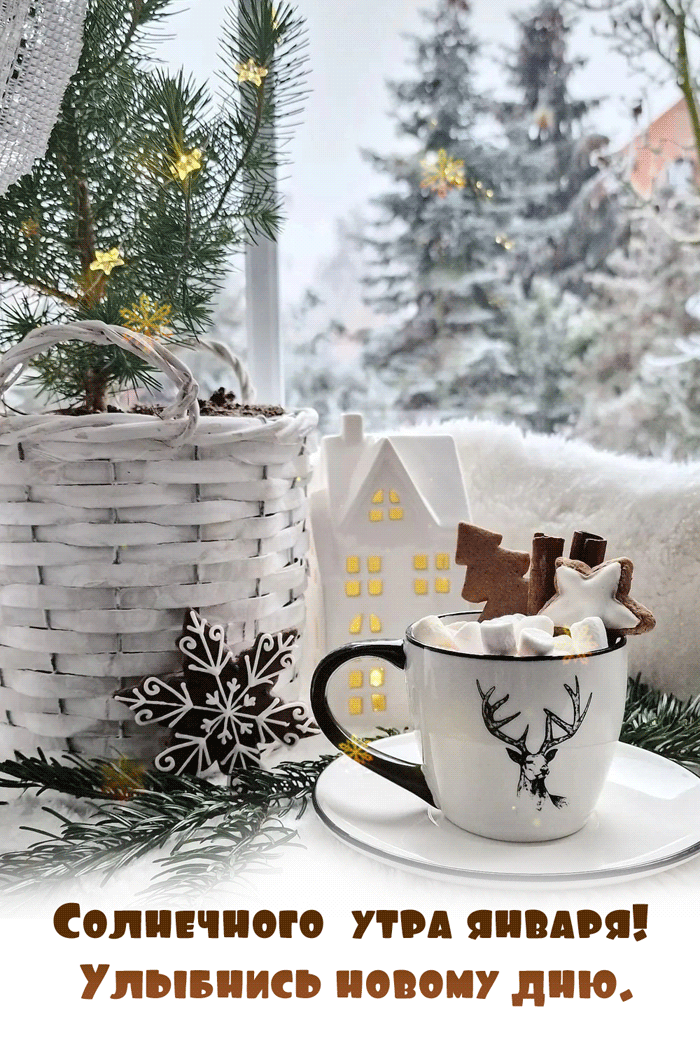 Желаю вам солнечного утра Январского.