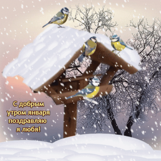 Поздравляю вас друзья с добрым утром Января!