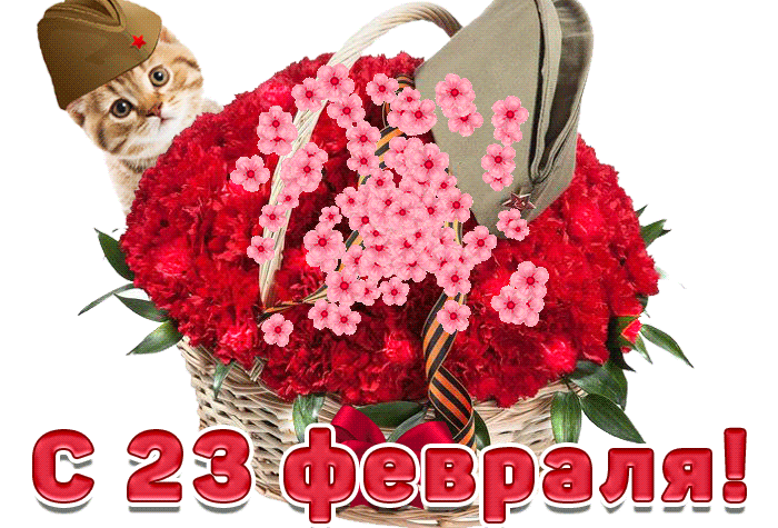 Красивая gif картинка котик с корзинкой цветов на 23 Февраля 2024.