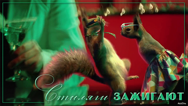 Зажигай гифка танцующие стильные белки. Зажигай гифка танцующие стильные белки.