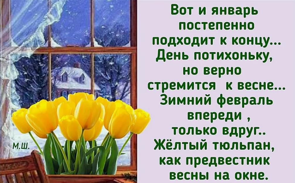 Зимние картинки последний день уходящего Января 2024. Зимние картинки последний день уходящего Января 2024.