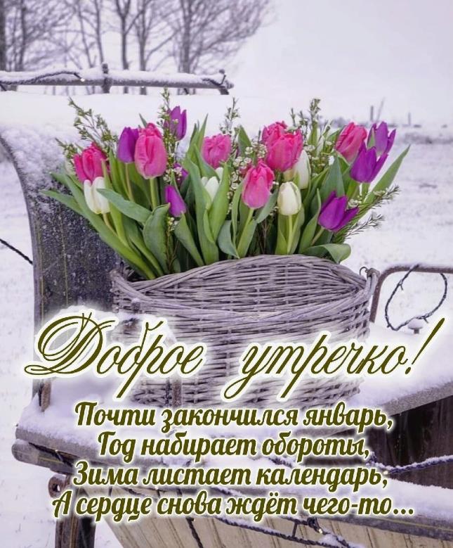 Открытка с добрым утром последнего дня Января. Открытка с добрым утром последнего дня Января.