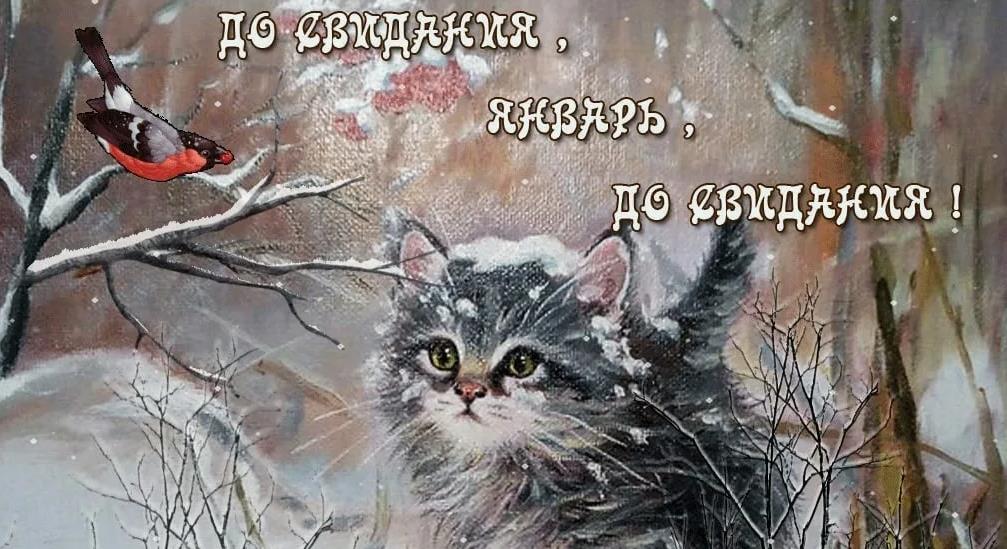 Фото ПРОЩАЙ ЯНВАРЬ, ИЛИ ДАВАЙ, ДО ВСТРЕЧИ! Фото ПРОЩАЙ ЯНВАРЬ, ИЛИ ДАВАЙ, ДО ВСТРЕЧИ!