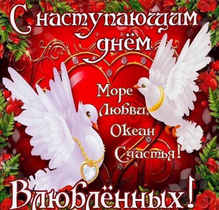 Красивая открытка с белыми голубями к наступающему дню Влюблённых.