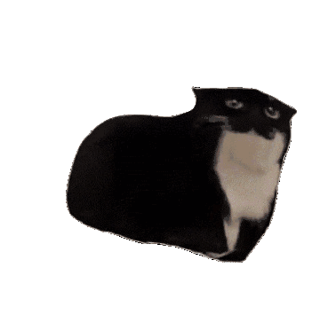 Смешная gif картинка Крутящийся кот Мем на прозрачном фоне. Смешная gif картинка Крутящийся кот Мем на прозрачном фоне.