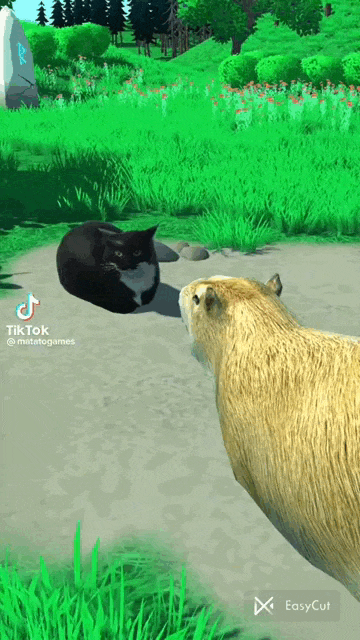 Смешная гифка кот Масквелл и Копибара. Смешная гифка кот Масквелл и Копибара.