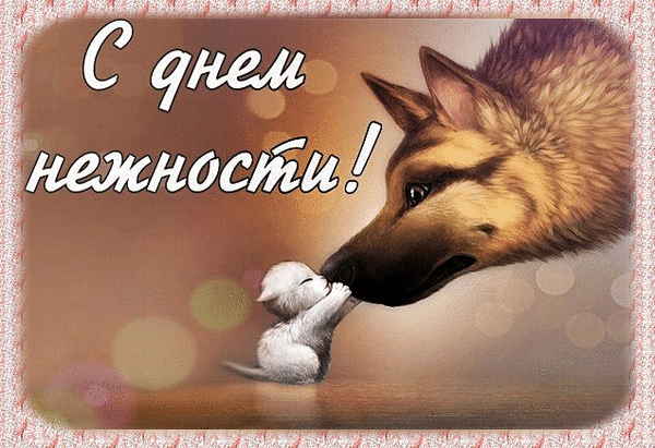 Смешная блестящая гиф открытка с животными на день нежности 2024. Смешная блестящая гиф открытка с животными на день нежности 2024.