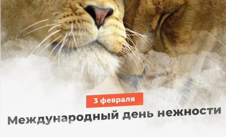 Прикольные открытки с Днем нежности 3 Февраля. Прикольные открытки с Днем нежности 3 Февраля.