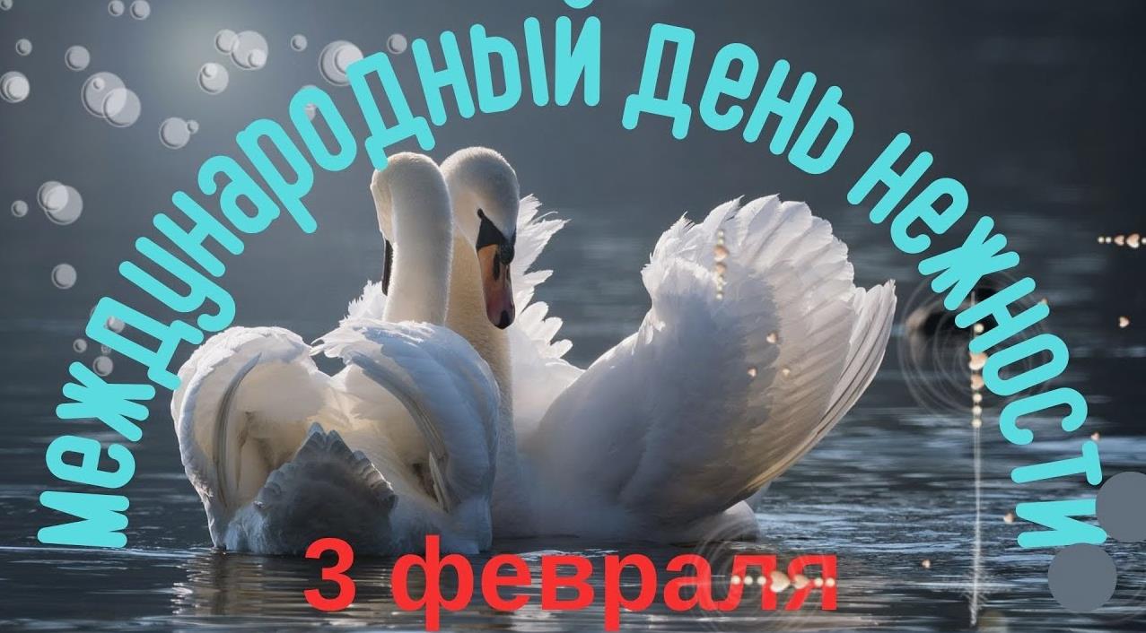 Новая красивая открытка с парой лебедей на день нежности. Новая красивая открытка с парой лебедей на день нежности.