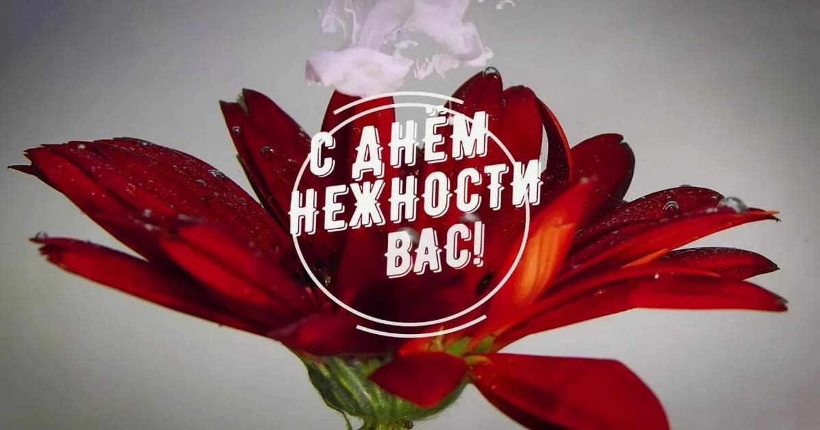 Цветы в день нежности для вас. Цветы в день нежности для вас.