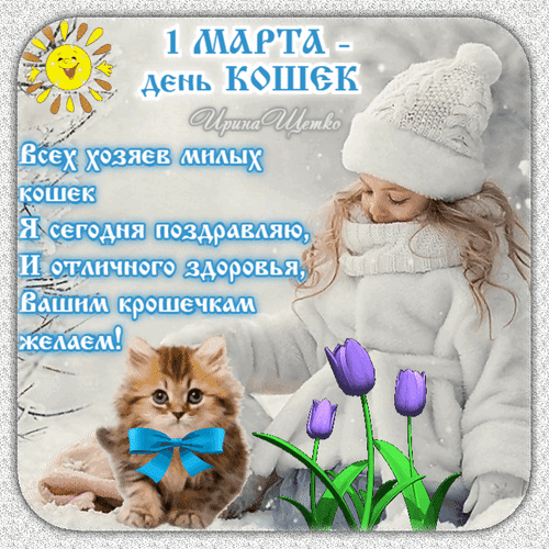 Зимняя gif картинка со стихами на 1 Марта - день кошек.
