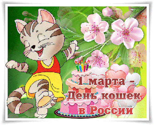 Детская gif картинка 1 Марта день кошек в России.