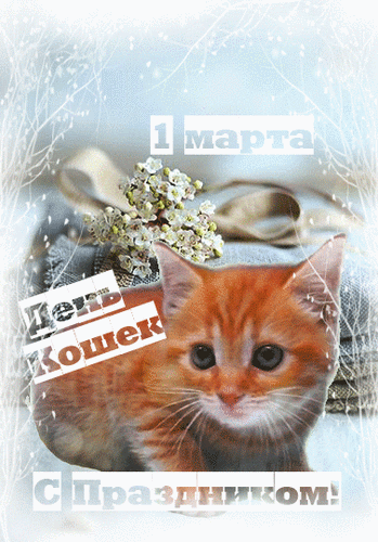 Забавная зимняя анимация 1 Марта день кошек 2024.