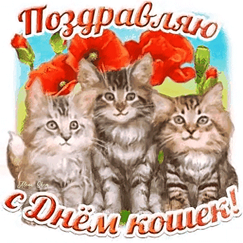 Стикер гиф см надписью "Поздравляю, с днём Кошек!".