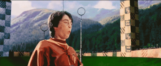 Gif Редкий момент уступчивости Золотого Снитча.