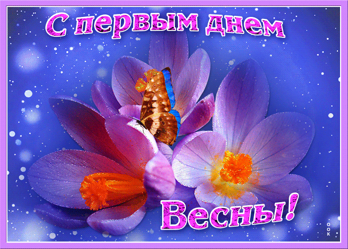 Чудесная gif картинка с бабочкой на первых весенних цветах.