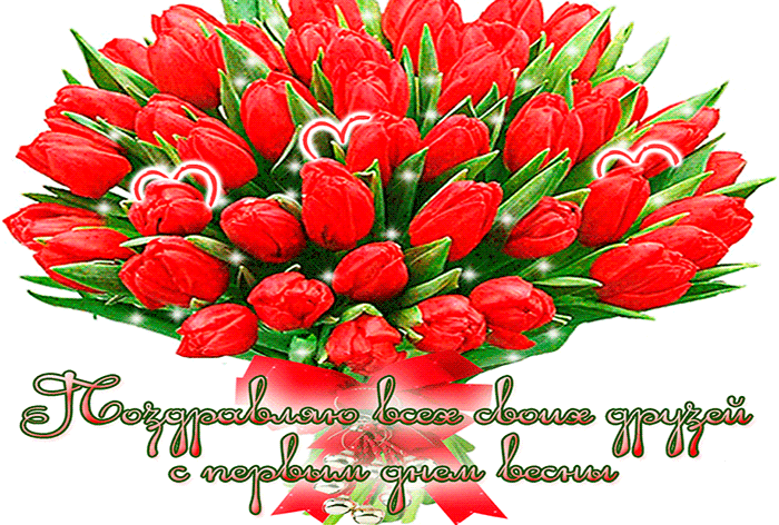 Анимация с букетов красных тюльпанов и надписью "Поздравляю всех своих друзей с первым днём весны".