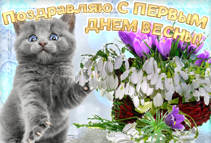 Смешная гифка котёнок поздравляет с первым весенним днём и дарит подснежники.
