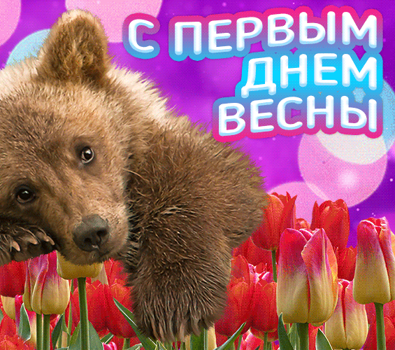 Мишутка поздравляет всех женщин с началом весны.