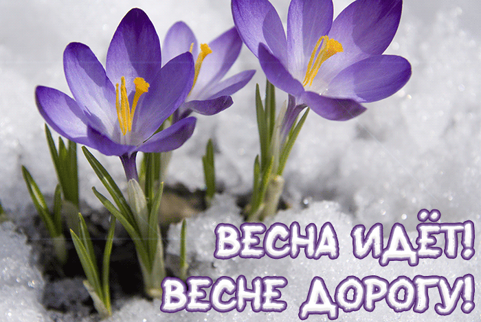 Мигающие подснежники, Весна идёт, весне дорогу.