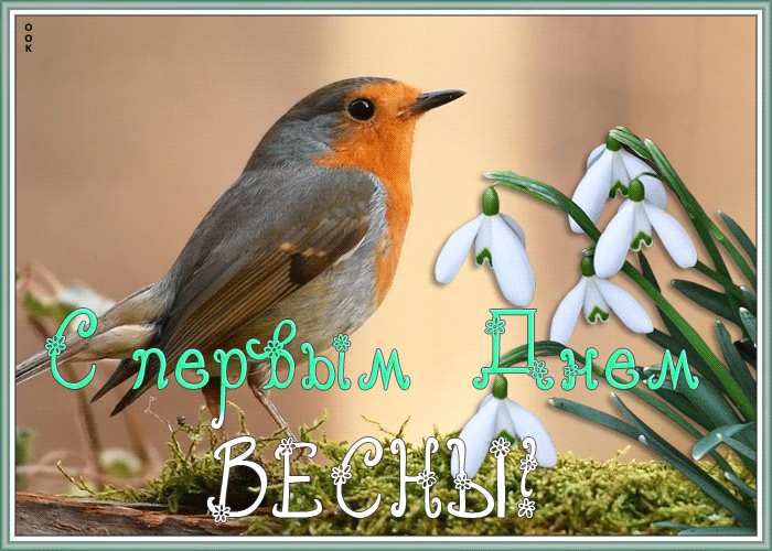 Гифка Весна пришла, с праздником с птичкой.