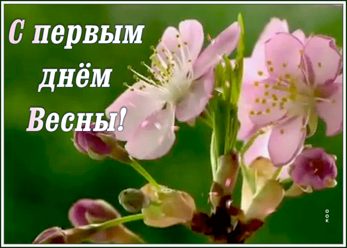 Гиф С весной вас друзья мои.
