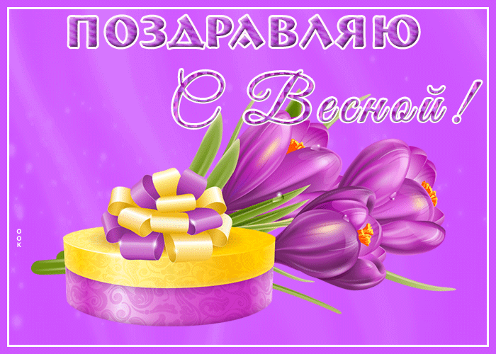 Розовые тюльпаны на 1 Марта.