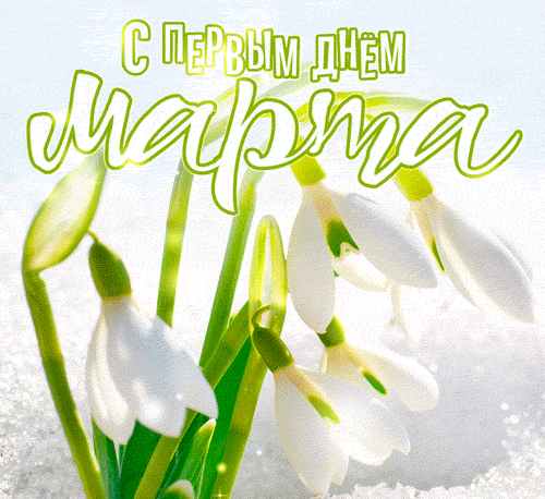 Гифка с первым днём Марта.