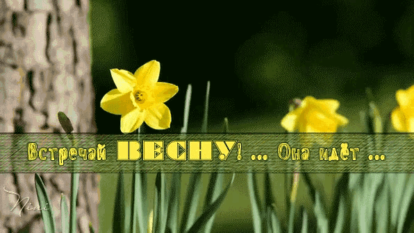 Гифка встречай весну, она идёт. Гифка встречай весну, она идёт.