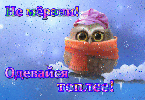 Анимация не мёрзни, одевайся теплее с замёрзшей птичкой.