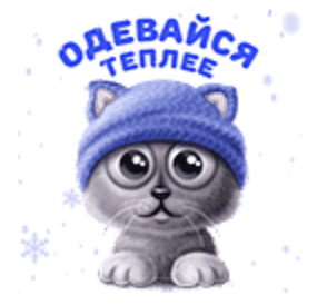 Гифка - стикер с котёнком для ватсап с пожеланием одеться потеплее.