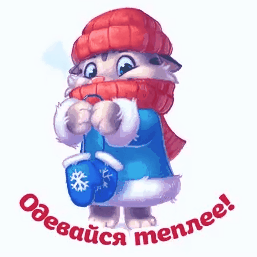 Красивая гифка с котиком в одежде м призывом одеться, чтобы не заболеть.