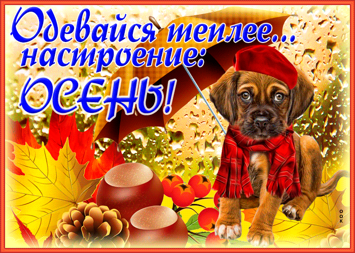 Красивая осеняя гифка одевайся теплее, настроение осень.