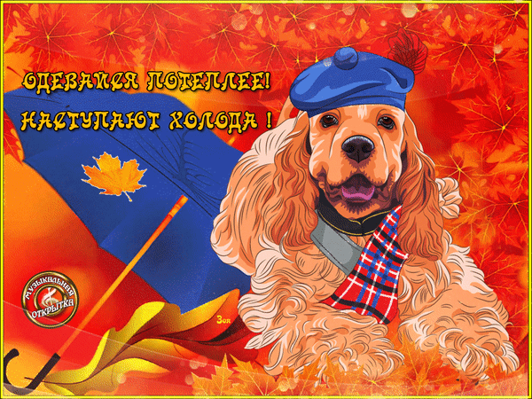 Осеняя гифка наступают холода, пора одеваться теплее с собакой.